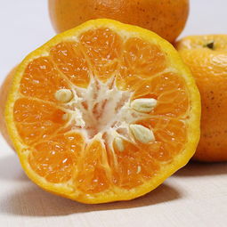 優質農產品助力精準扶貧 新鮮當季水果與蔬菜，脆甜可口全國包郵