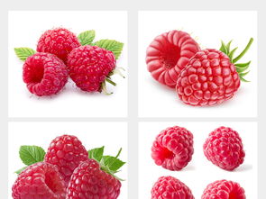 多種水果高清大圖與設計素材集合，附飲品美食大全與新鮮蔬菜資源